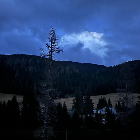 Almhaus Zirbenheim Nicolina Βίλα Flattnitz Εξωτερικό φωτογραφία